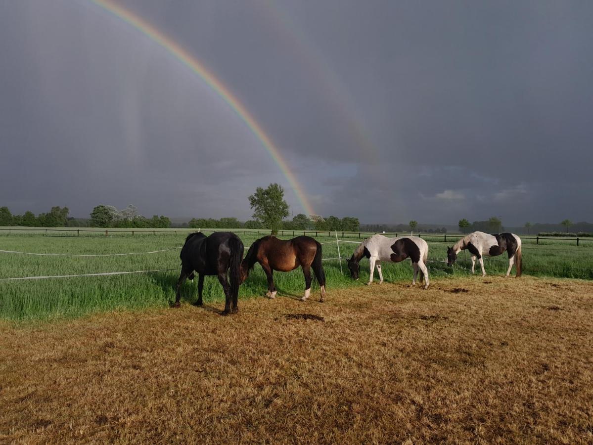 Ferienhof Wikner Bruchhausen-Vilsen Luaran gambar